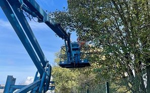 tree surgery using mewp fully qualified arborists