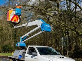 Arbor Division tree surgeons using a mewp to access tree branches to cut 