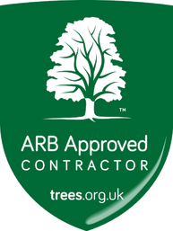 Arb Approved Contractor accreditation Arbor Division tree surgeons