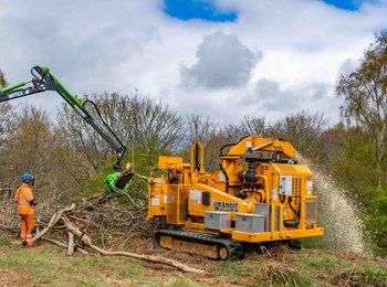 Arbor Division arborists chipping trees using a Bandit Intimidator 15xpBandit Intimidator 15xp