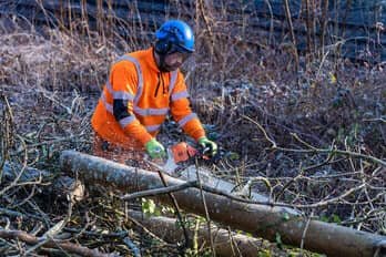 Tree surgeon wearing full PPE for health and safety