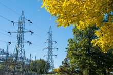 Utility Arb clearing vegetation and trees in proximity to electricity power lines