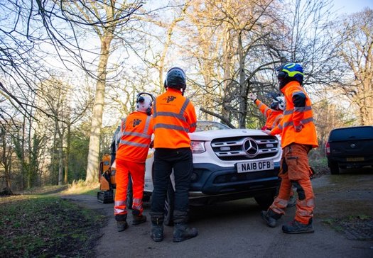 Arbor Division Ltd Team surgeons being briefed before tree cutting commences