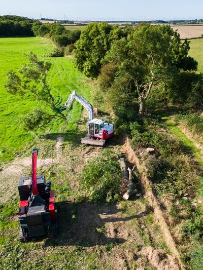 Arbor Division tree surgeons using machinery to remove trees safely 