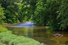 Utility Arb clearing vegetation and trees in proximity to riverbanks and waterways